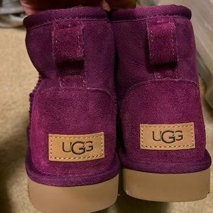 Purple uggs short